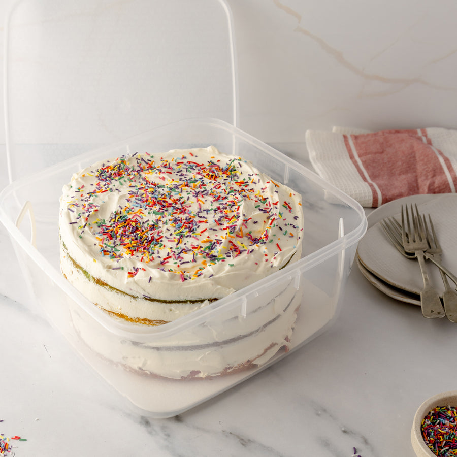 Cake Container with Lifter, 6L