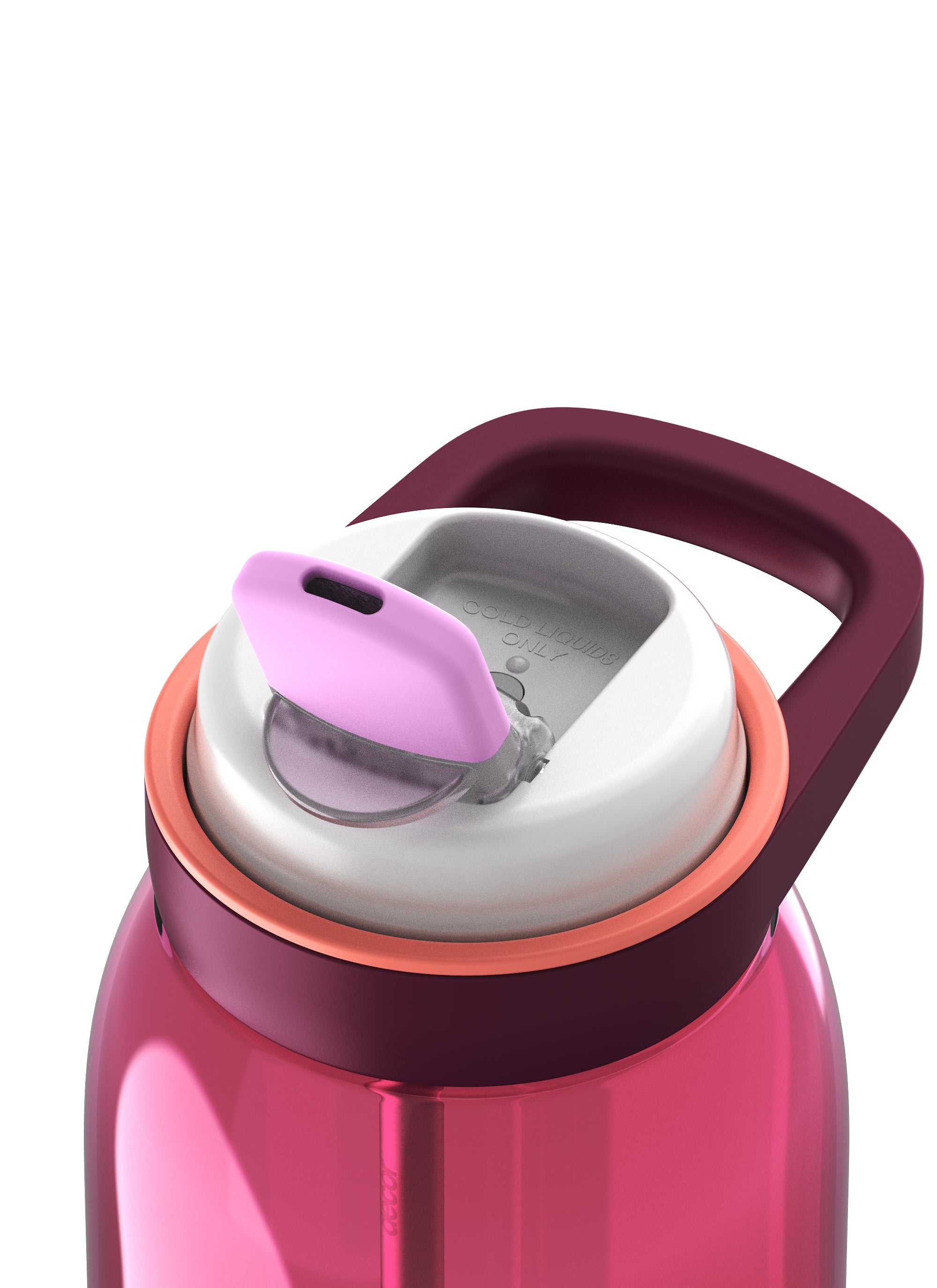 Soft-Sip Tritan™ Bottle with Rigid Handle and Stainless Steel Straw, 1.5L | Plum
