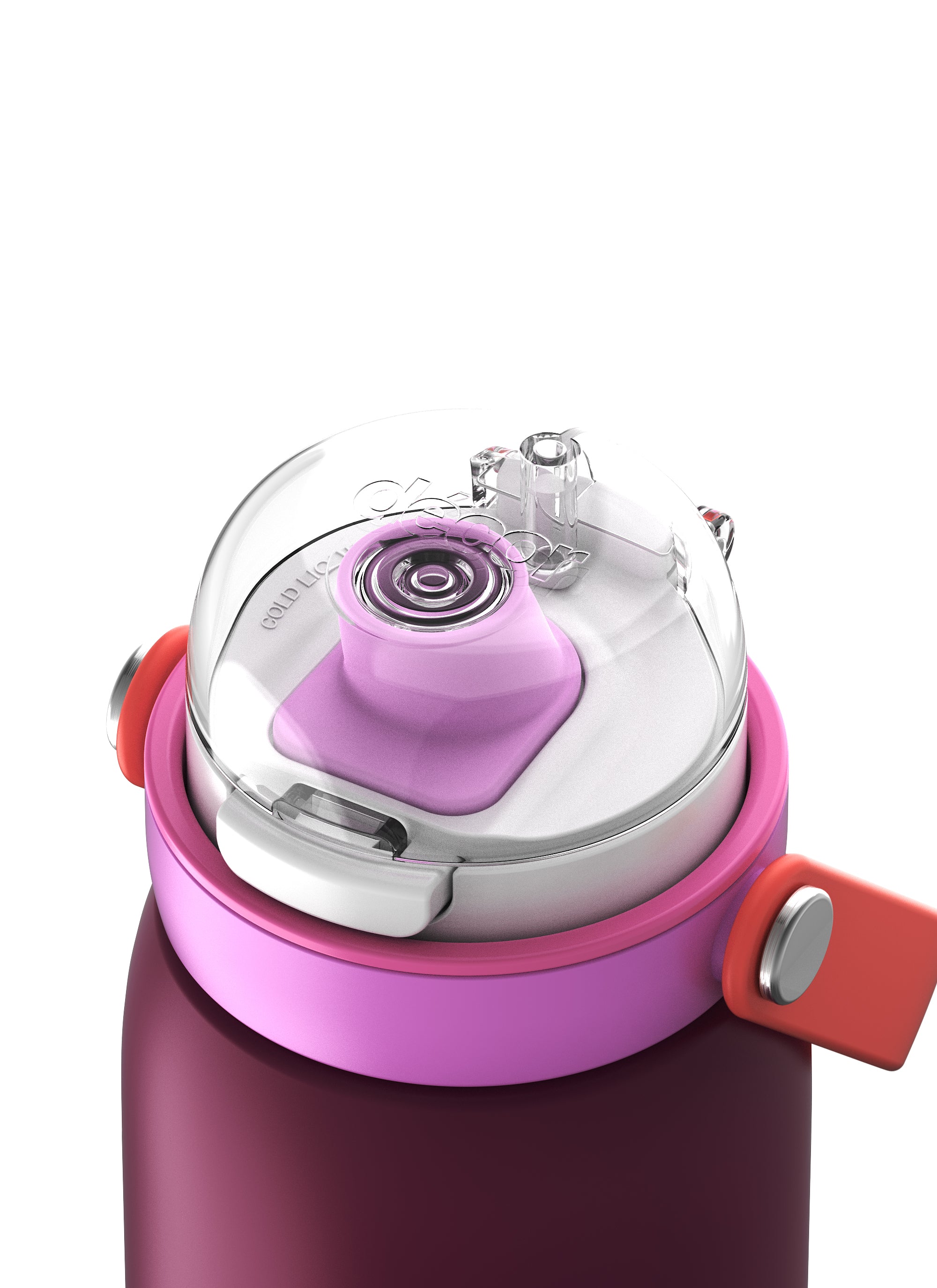 Insulated Stainless Steel Bottle with Deluxe Chug Cap, 750mL | Plum