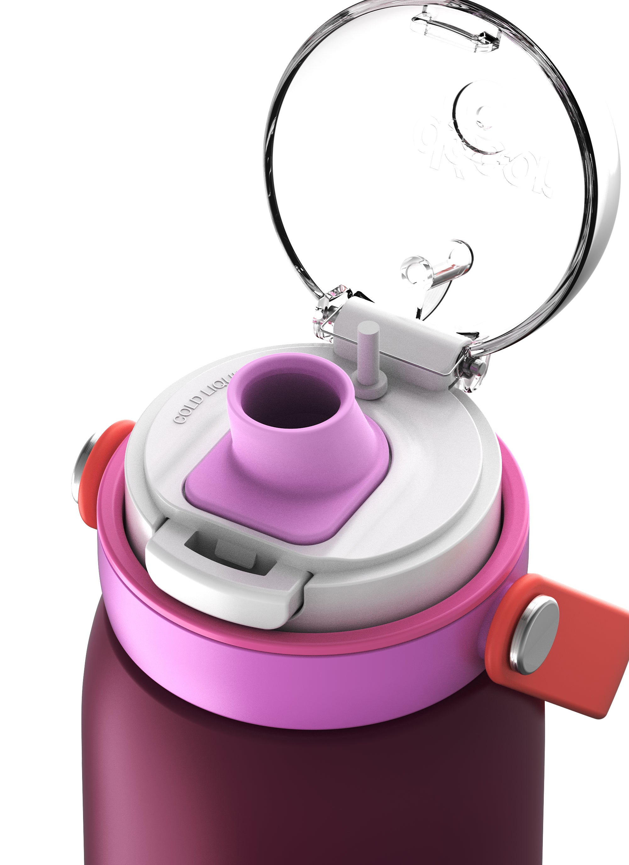 Insulated Stainless Steel Bottle with Deluxe Chug Cap, 750mL | Plum