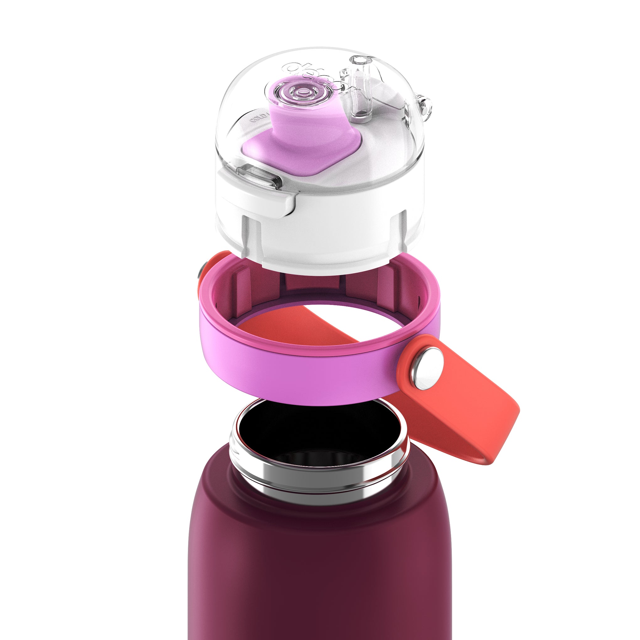 Insulated Stainless Steel Bottle with Deluxe Chug Cap, 750mL | Plum