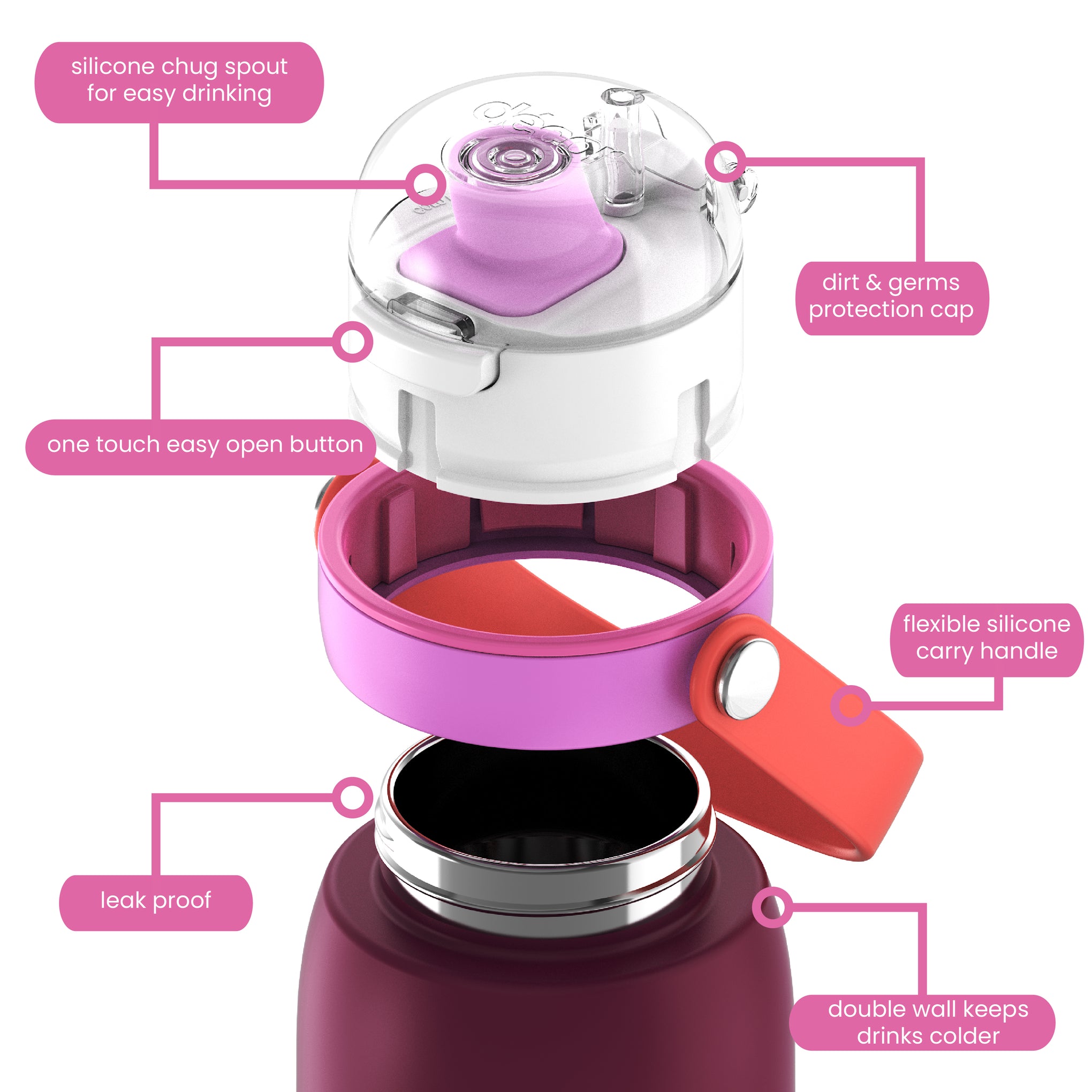 Insulated Stainless Steel Bottle with Deluxe Chug Cap, 750mL | Plum