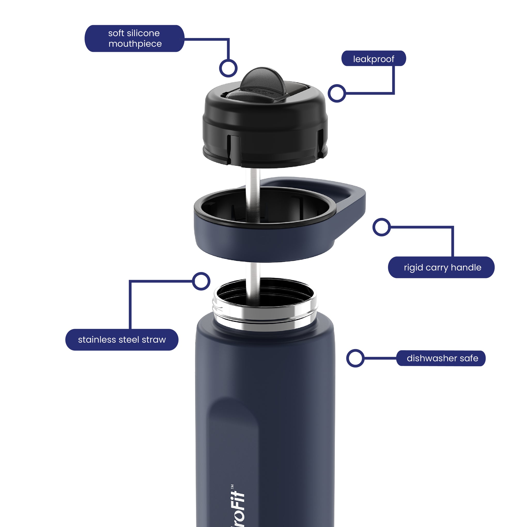 Soft Sip Stainless Steel Bottle with Rigid Handle and Stainless Steel Straw, 750mL