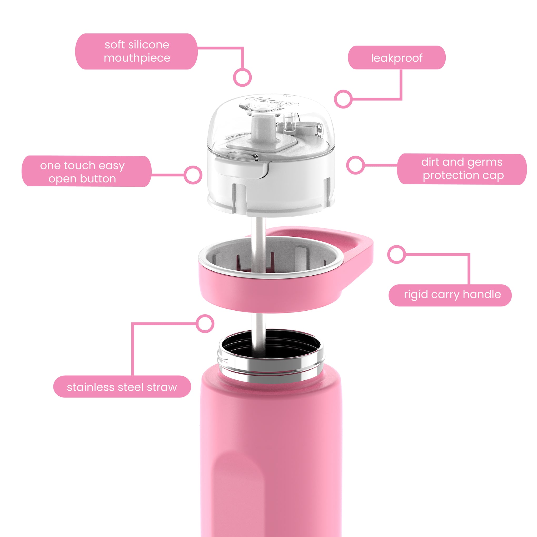 Deluxe Sip Stainless Steel Bottle with Rigid Handle and Stainless Steel Straw, 750mL