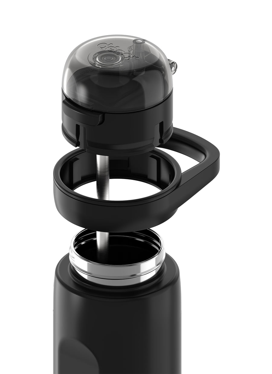Deluxe Sip Stainless Steel Bottle with Rigid Handle and Stainless Steel Straw, 750mL