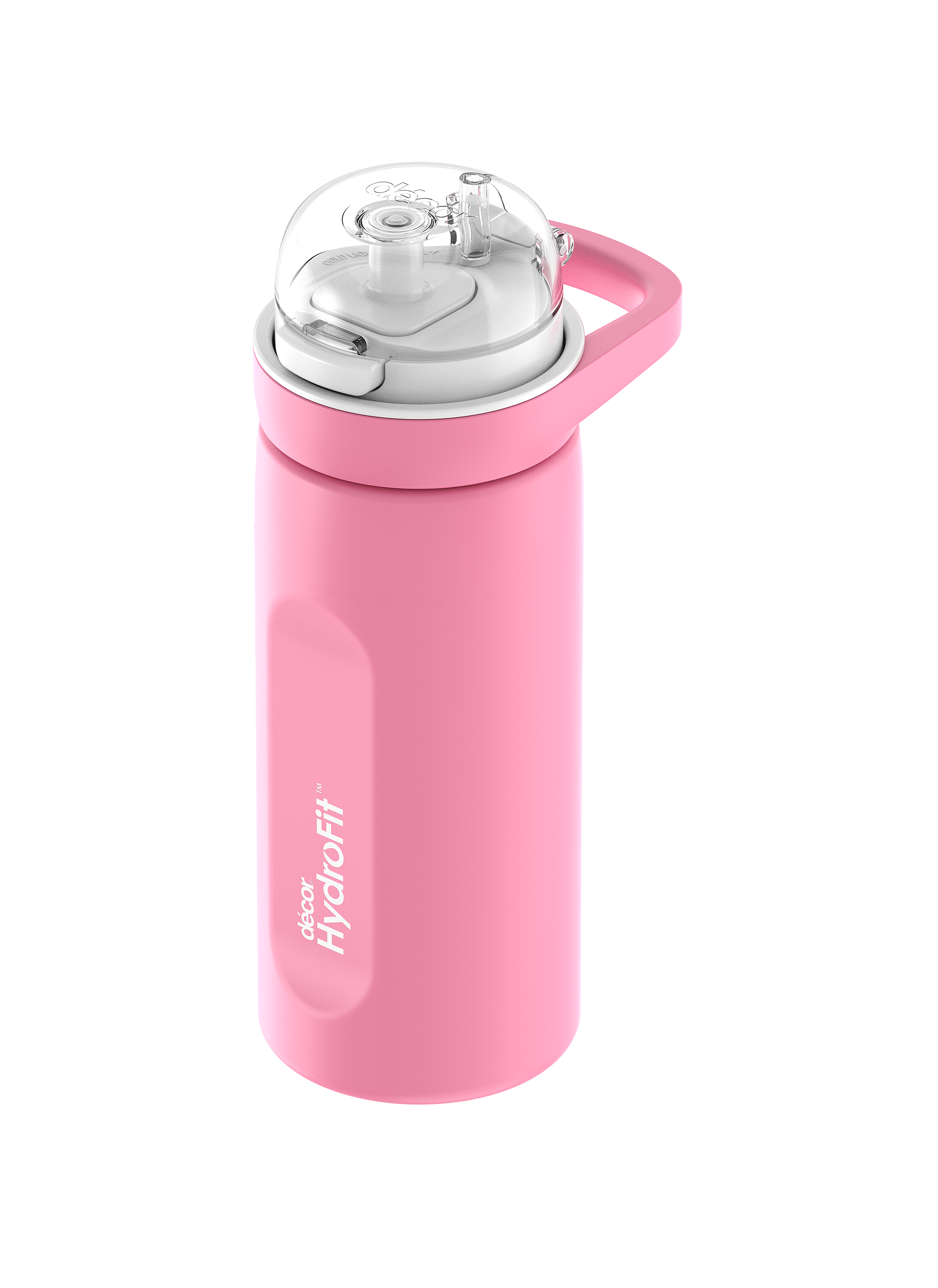 Deluxe Sip Stainless Steel Bottle with Rigid Handle and Stainless Steel Straw, 750mL
