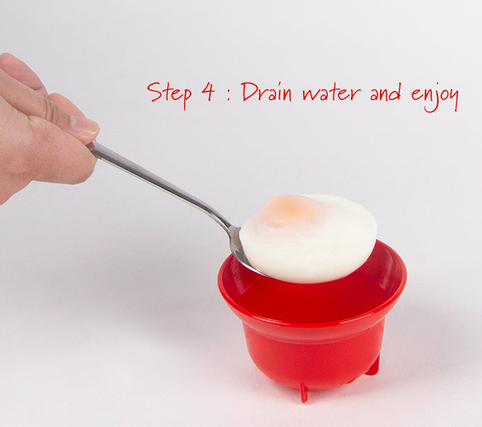 Steam Egg Poacher